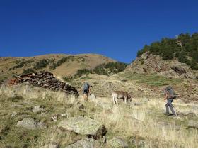 photo coins arrondis